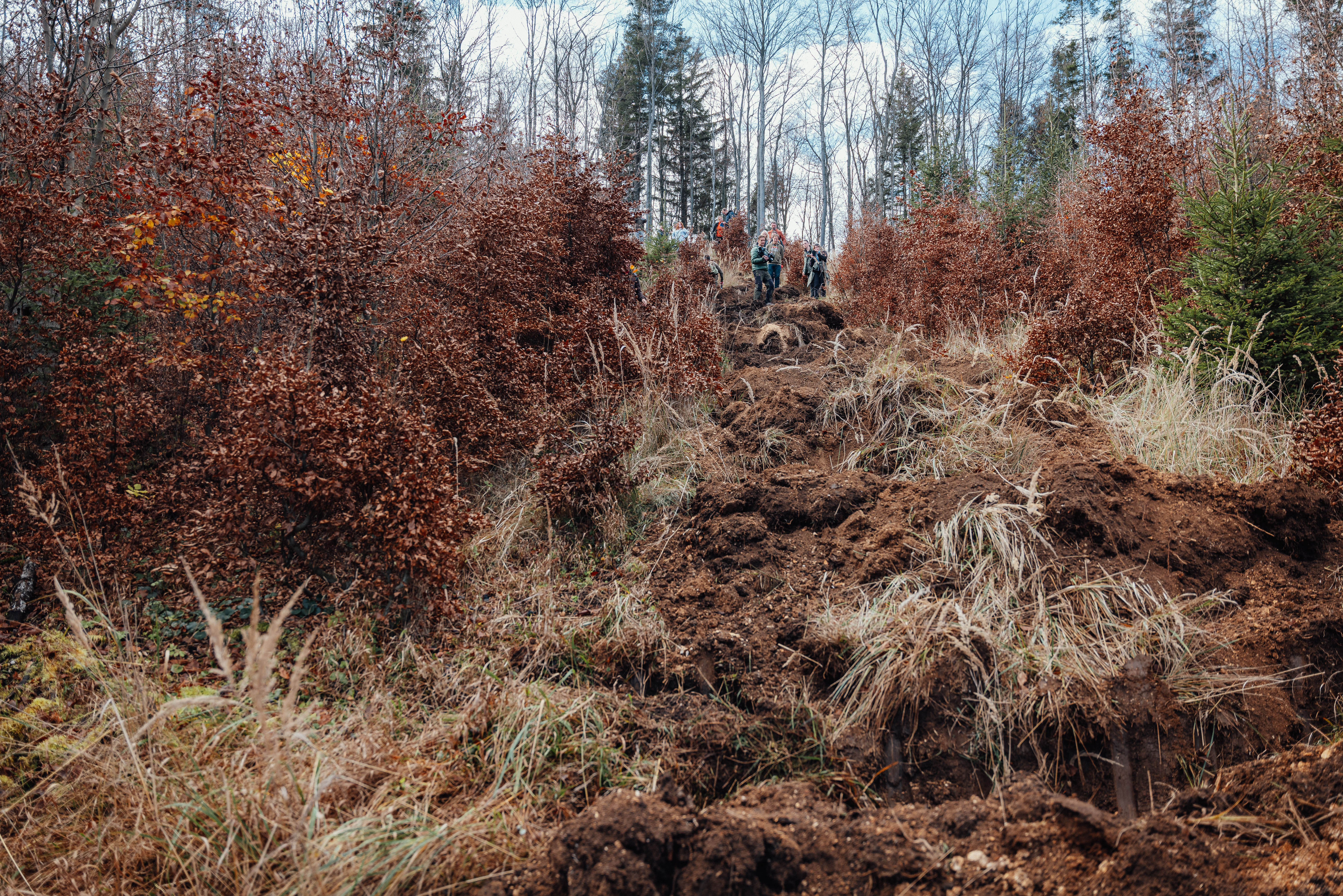 Kľúčové pre udržanie vody v krajine je vrátiť ju do pôdy